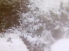 Young Girl Walking in the Forest (1950s Vintage)