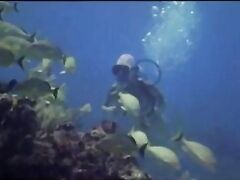 Nude Celebrities - Underwater Scenes